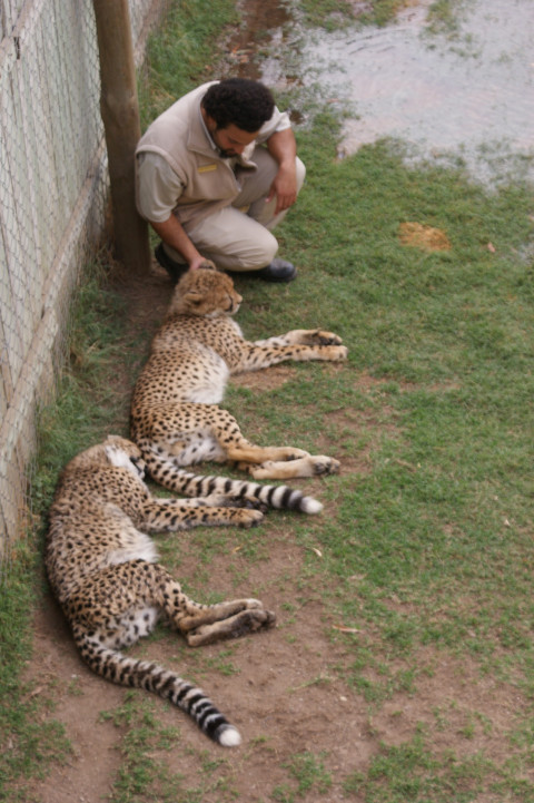 Discover Oudtshoorn › WorldWideWendy